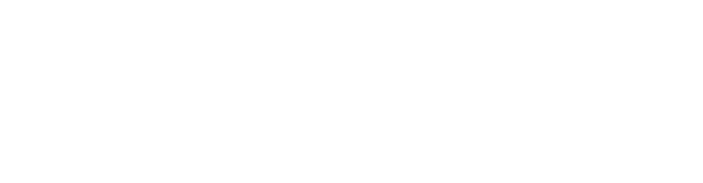 Netshoes